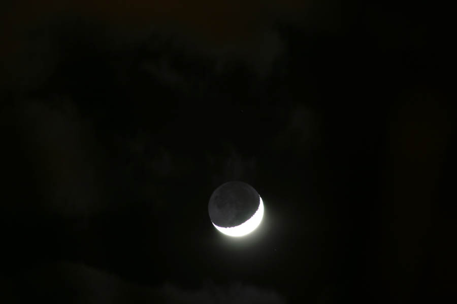 Moon through the palms, as close as can be (300mm, f/5.6, 4 sec)<!--CRW_1855.CRW-->